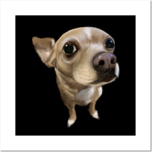 Cute Chihuahua Posters and Art